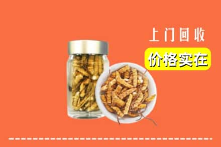 林芝察隅县回收散虫草
