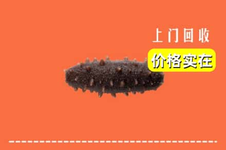 林芝察隅县回收海参