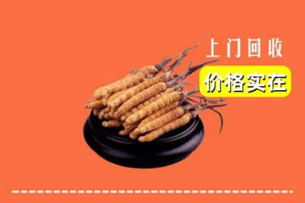 诚信求购:林芝察隅县高价回收冬虫夏草